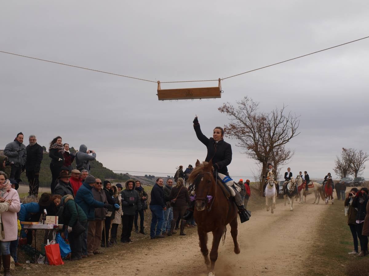 Carrera de cintas a caballo de los quintos de Torrelobatón