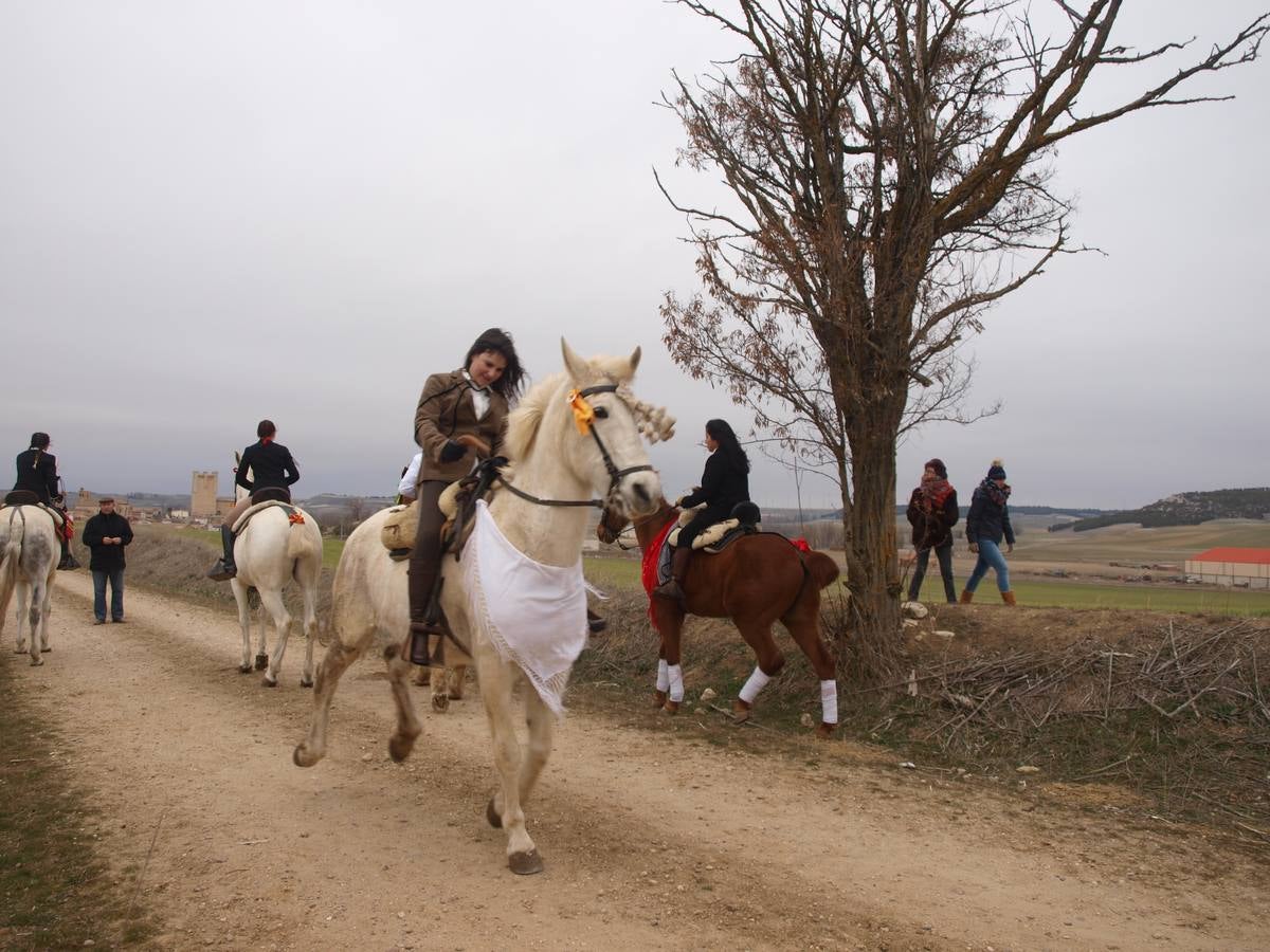 Carrera de cintas a caballo de los quintos de Torrelobatón