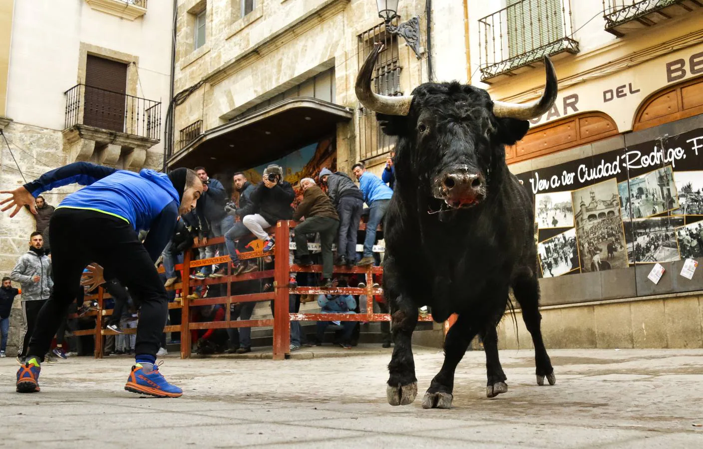 Jornada del martes en el Carnaval del Toro en Ciudad Rodrigo