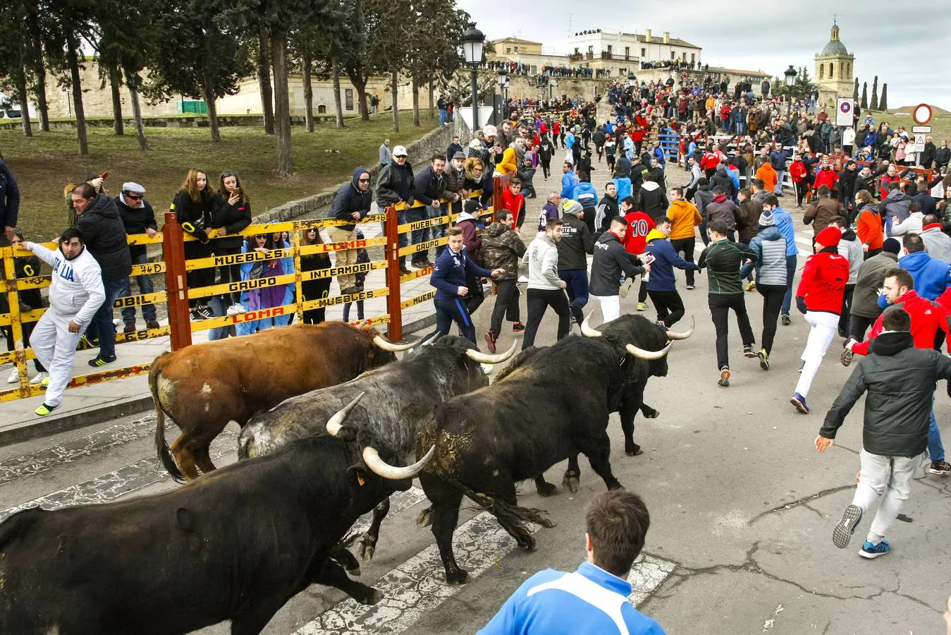 Jornada del martes en el Carnaval del Toro en Ciudad Rodrigo