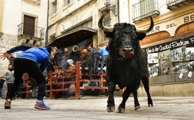 Un joven cita al toro en la calle Madrid. 