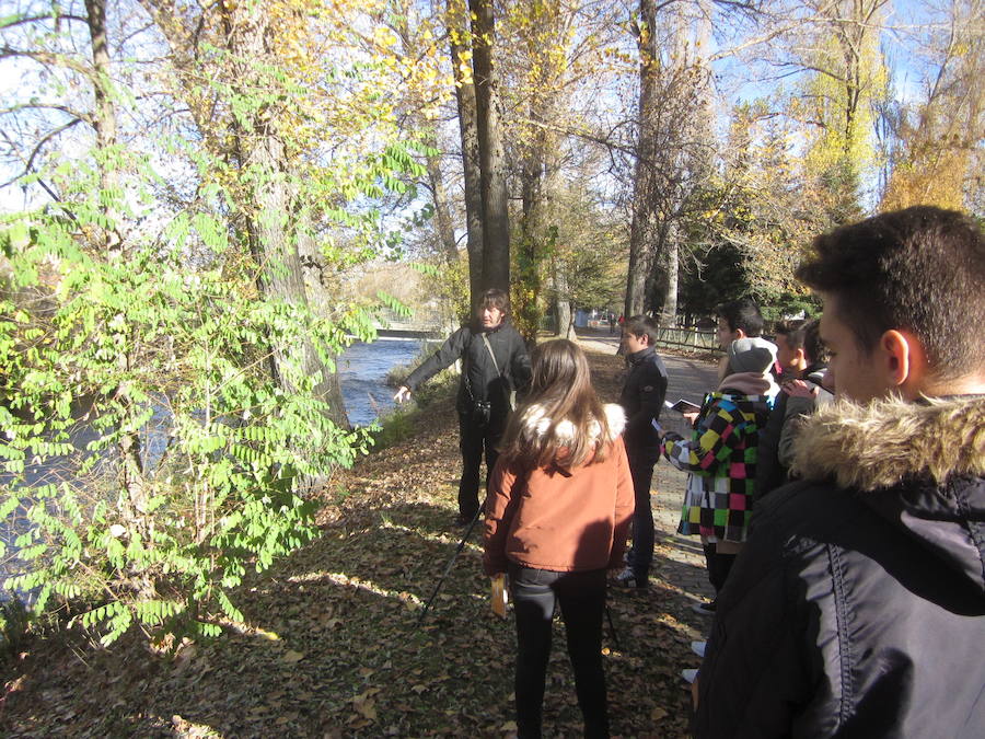 Estudiantes del instituto de Guardo, junto a un río, 