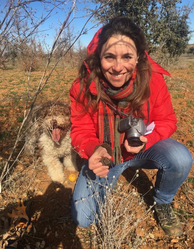 Cosecha de las primeras tres trufas negras de la provincia de Zamora.