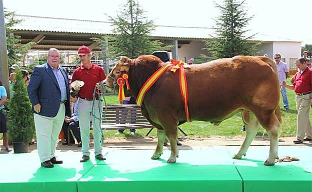Ganadería abulense 'Candeleílla'.