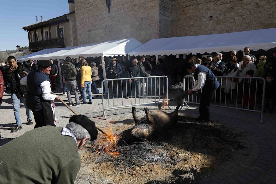Más de 600 personas se dieron cita el sábado para celebrar la matanza del cerdo, una tradición a la que los habitantes del Valle del Cuco no quieren renunciar.