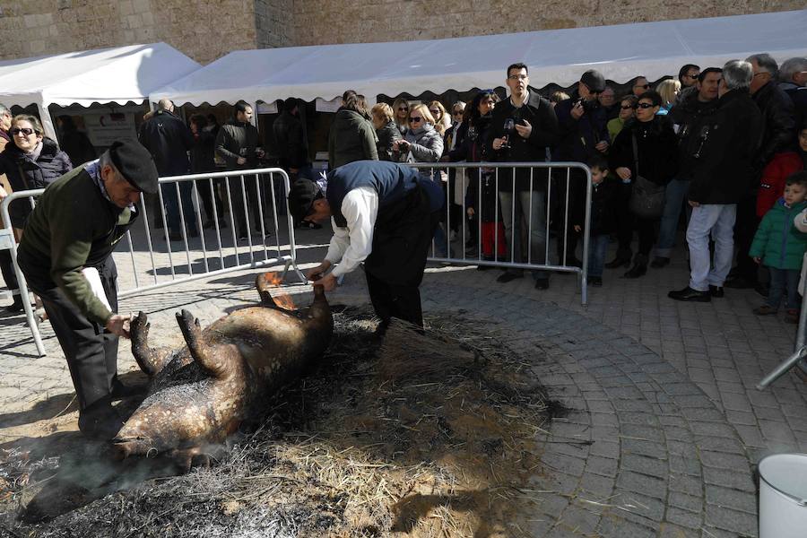 Más de 600 personas se dieron cita el sábado para celebrar la matanza del cerdo, una tradición a la que los habitantes del Valle del Cuco no quieren renunciar.
