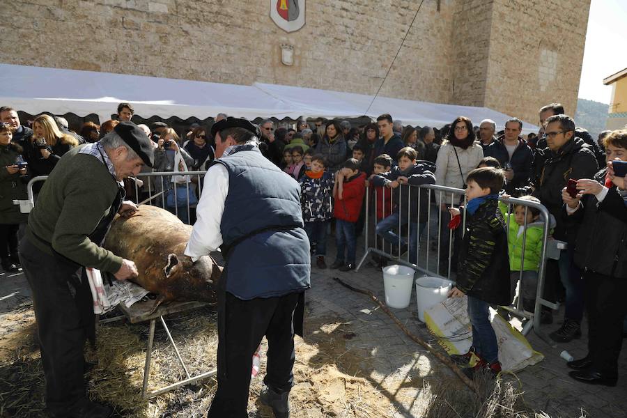 Más de 600 personas se dieron cita el sábado para celebrar la matanza del cerdo, una tradición a la que los habitantes del Valle del Cuco no quieren renunciar.