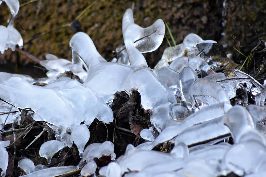 Fotos: Hielo y bajas temperaturas en Covalagua