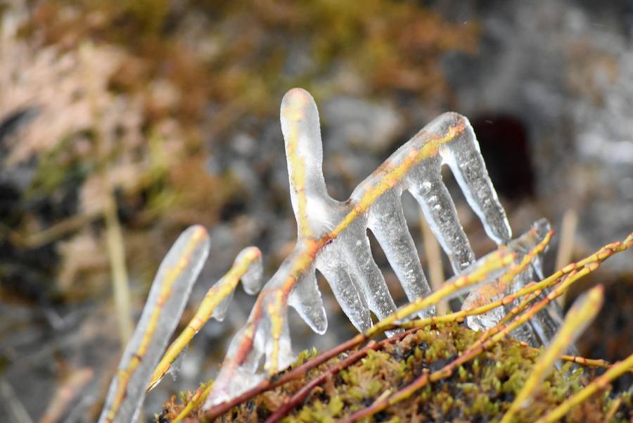 Fotos: Hielo y bajas temperaturas en Covalagua