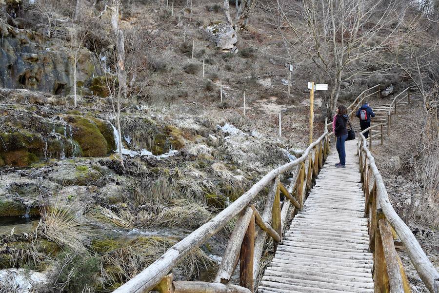 Fotos: Hielo y bajas temperaturas en Covalagua