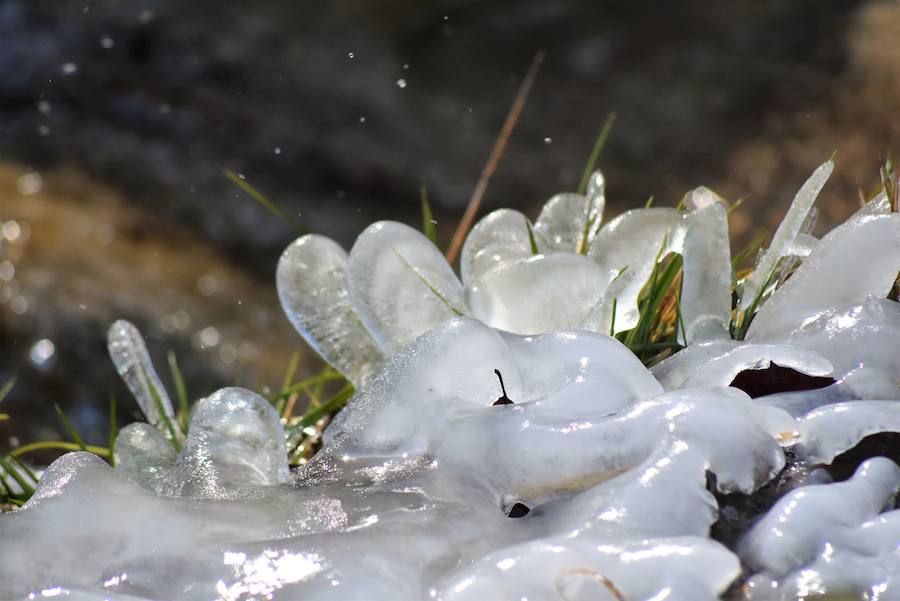 Fotos: Hielo y bajas temperaturas en Covalagua
