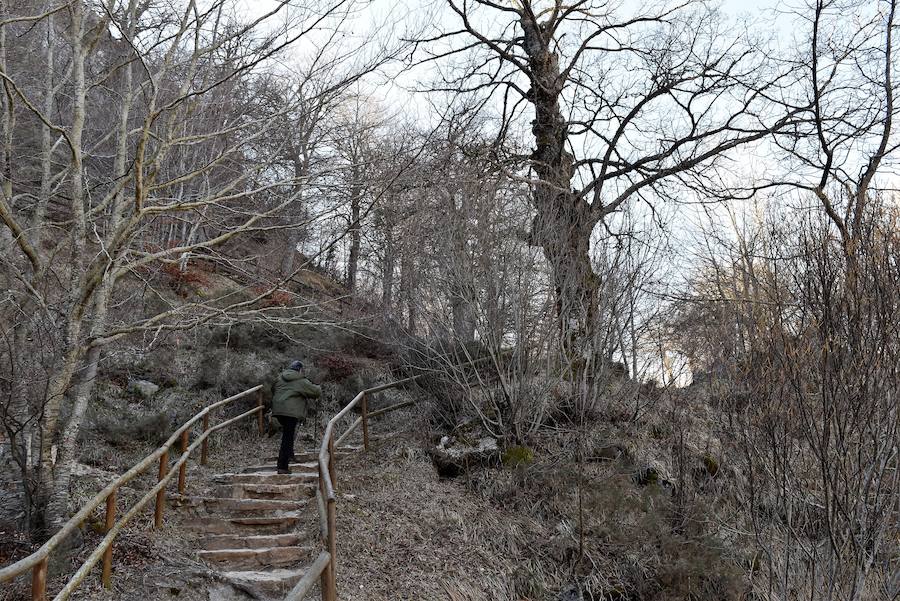 Fotos: Hielo y bajas temperaturas en Covalagua
