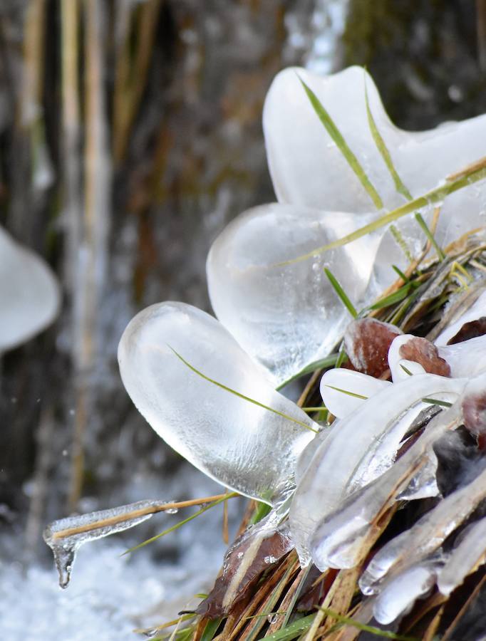 Fotos: Hielo y bajas temperaturas en Covalagua