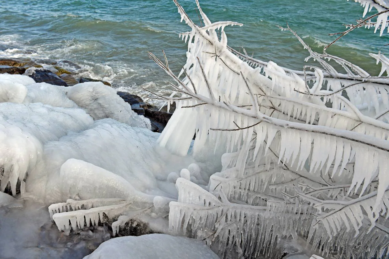 El hielo cubre las ramas de un arbusto en el lago de Constanza, en Suiza.