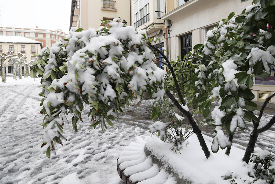 Fotos: La capital se tiñe de blanco