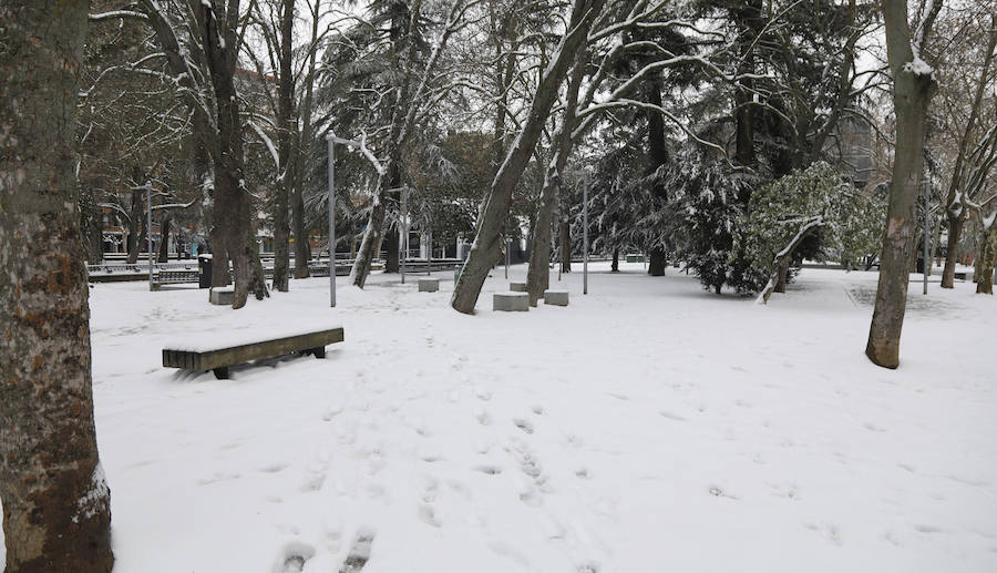 Fotos: La capital se tiñe de blanco