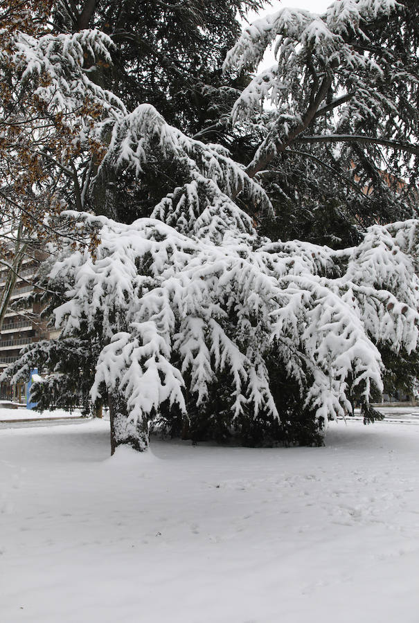 Fotos: La capital se tiñe de blanco