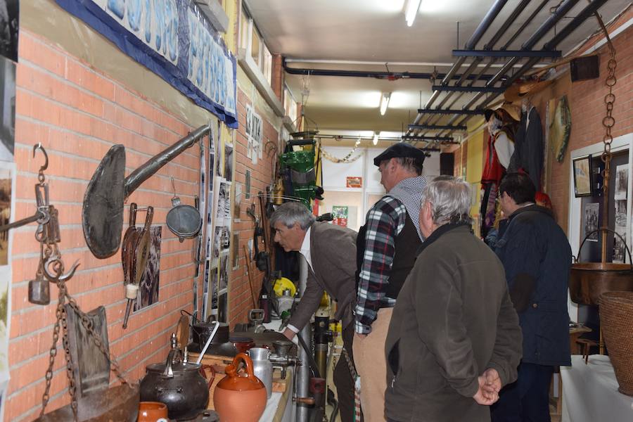 Fotos: El colegio Las Rozas centra el aprendizaje en la Montaña
