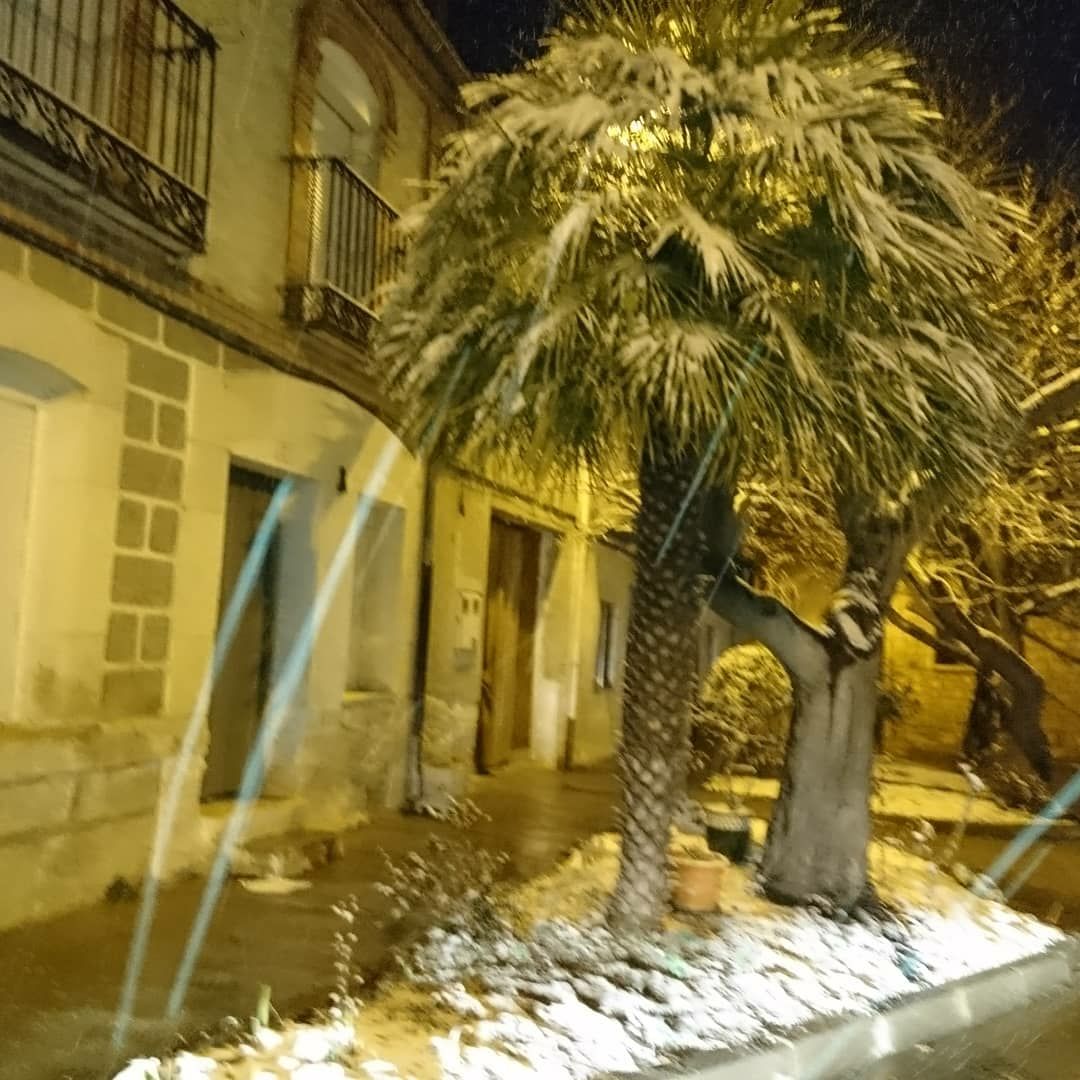 Cogeces del Monte.