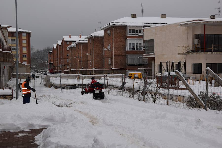 Fotos: Nieve en Guardo