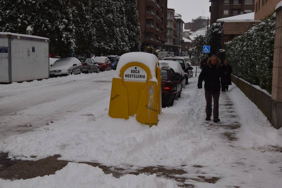 Fotos: Nieve en Guardo