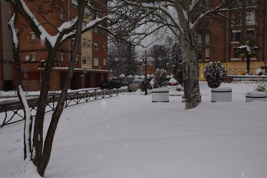 Fotos: Nieve en Guardo