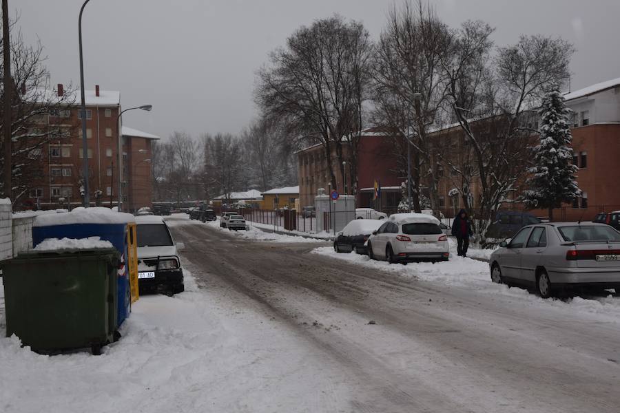 Fotos: Nieve en Guardo