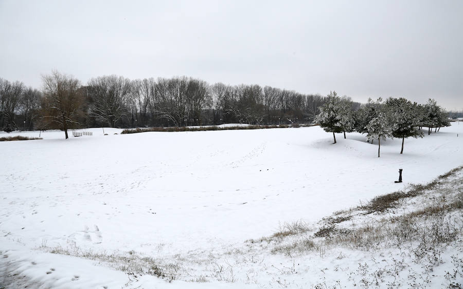 Fotos: La capital palentina se tiñe de blanco II