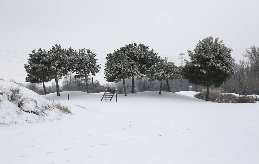 Fotos: La capital palentina se tiñe de blanco II