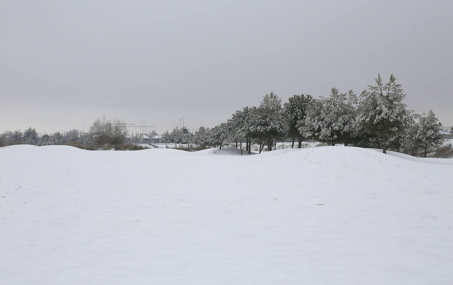 Fotos: La capital palentina se tiñe de blanco II