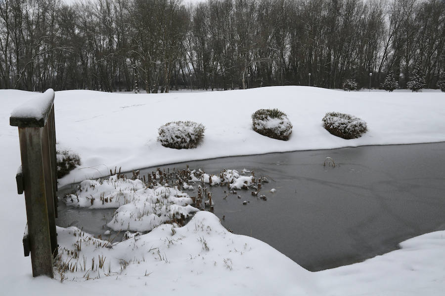 Fotos: La capital palentina se tiñe de blanco II