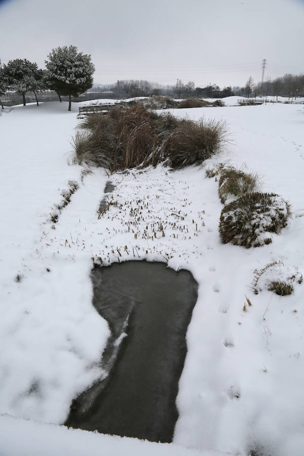 Fotos: La capital palentina se tiñe de blanco II