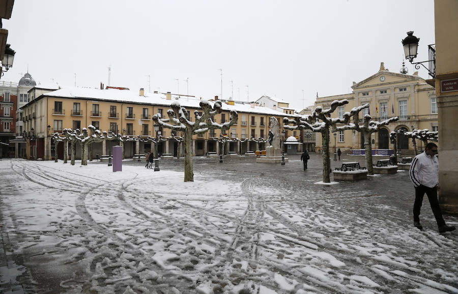 Fotos: La capital palentina se tiñe de blanco II