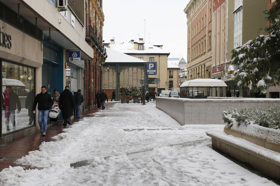 Fotos: La capital palentina se tiñe de blanco II