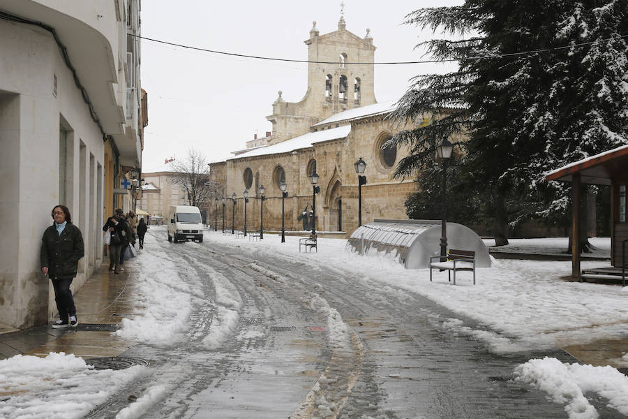 Fotos: La capital palentina se tiñe de blanco II