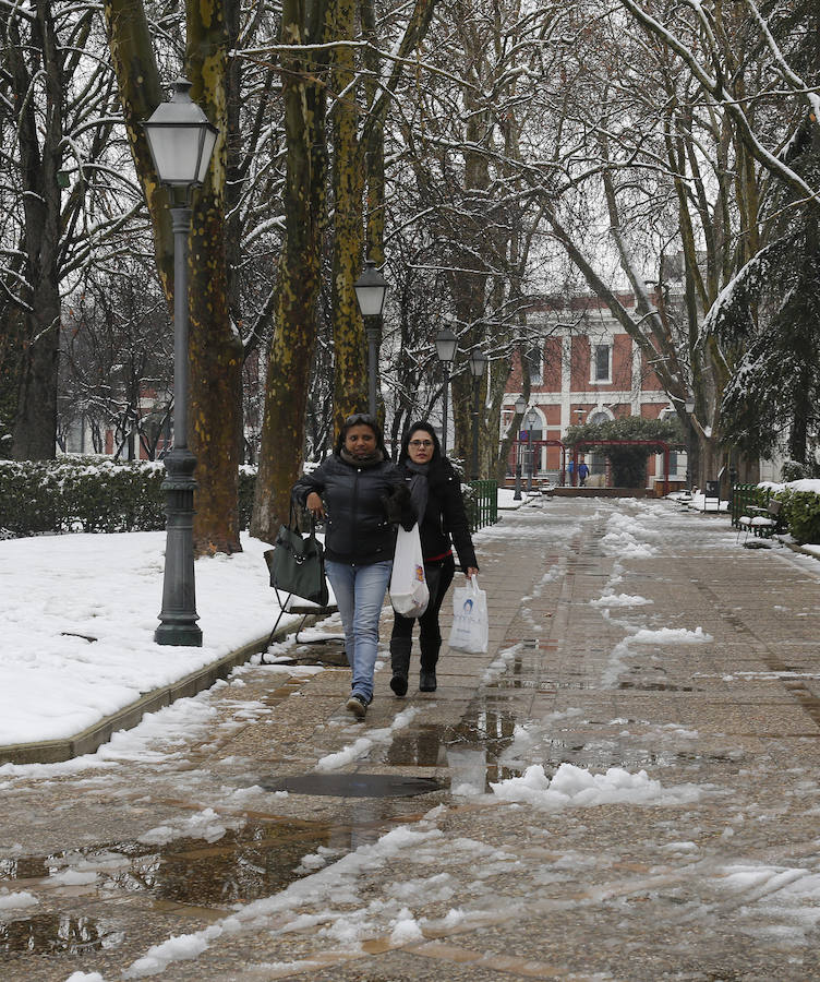 Fotos: La capital palentina se tiñe de blanco II