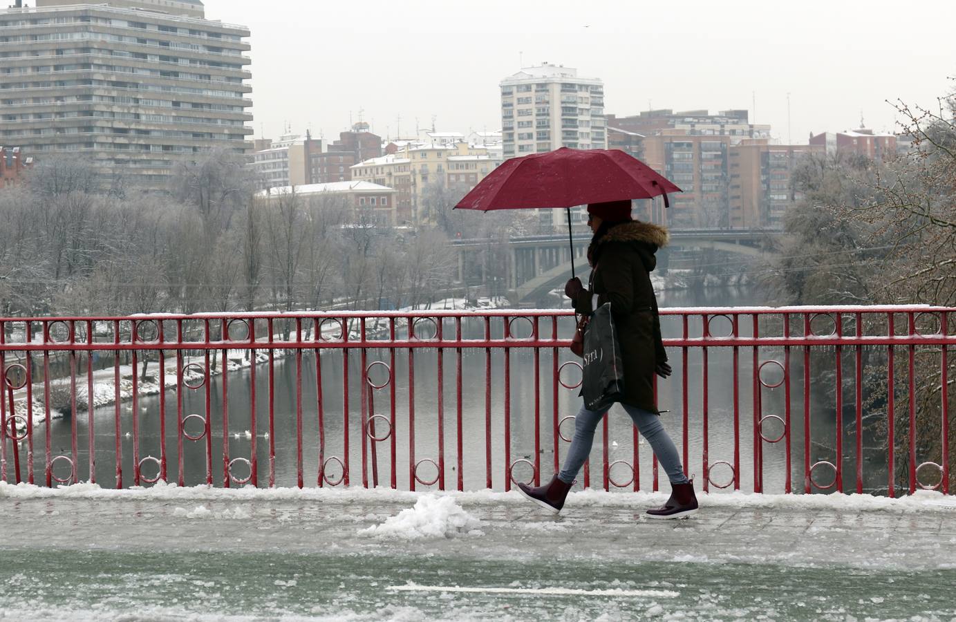 Fotos: Las bellas estampas que la nieve ha dejado en Valladolid