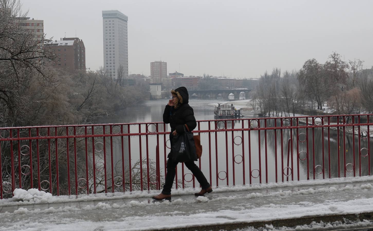 Fotos: Las bellas estampas que la nieve ha dejado en Valladolid