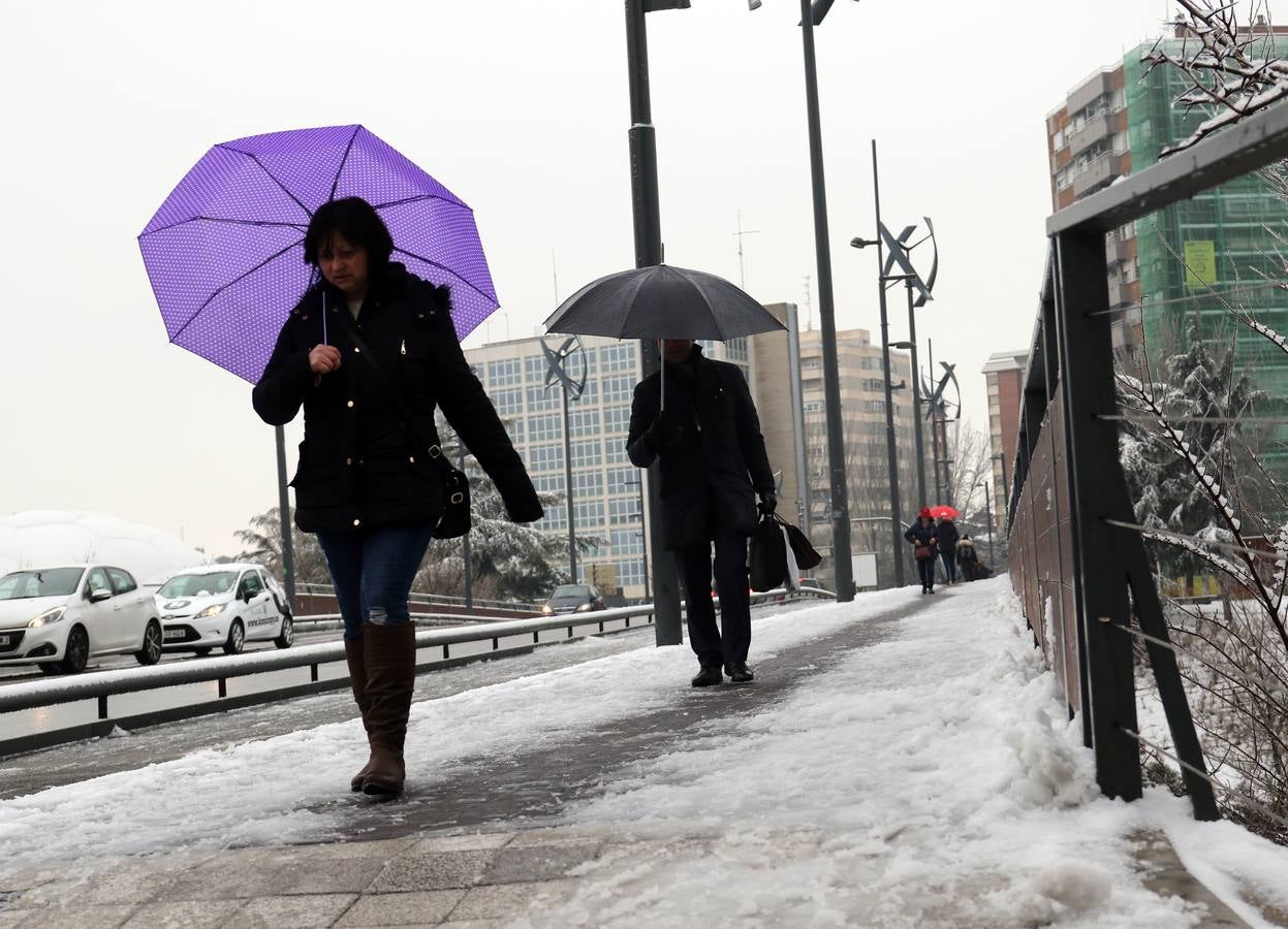 Fotos: Las bellas estampas que la nieve ha dejado en Valladolid