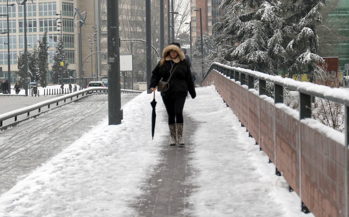 Fotos: Las bellas estampas que la nieve ha dejado en Valladolid