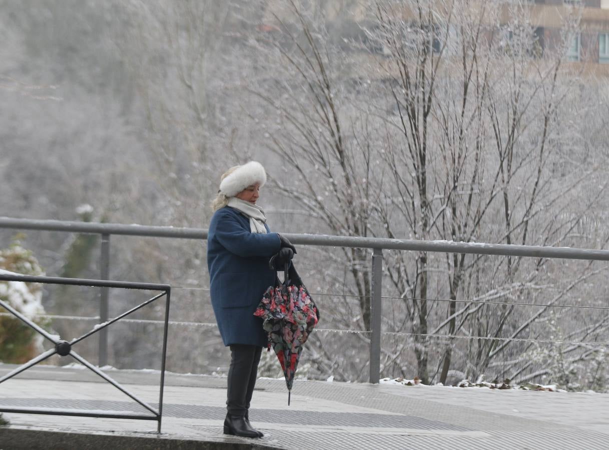 Fotos: Las bellas estampas que la nieve ha dejado en Valladolid