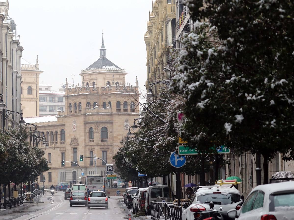 Fotos: Las bellas estampas que la nieve ha dejado en Valladolid