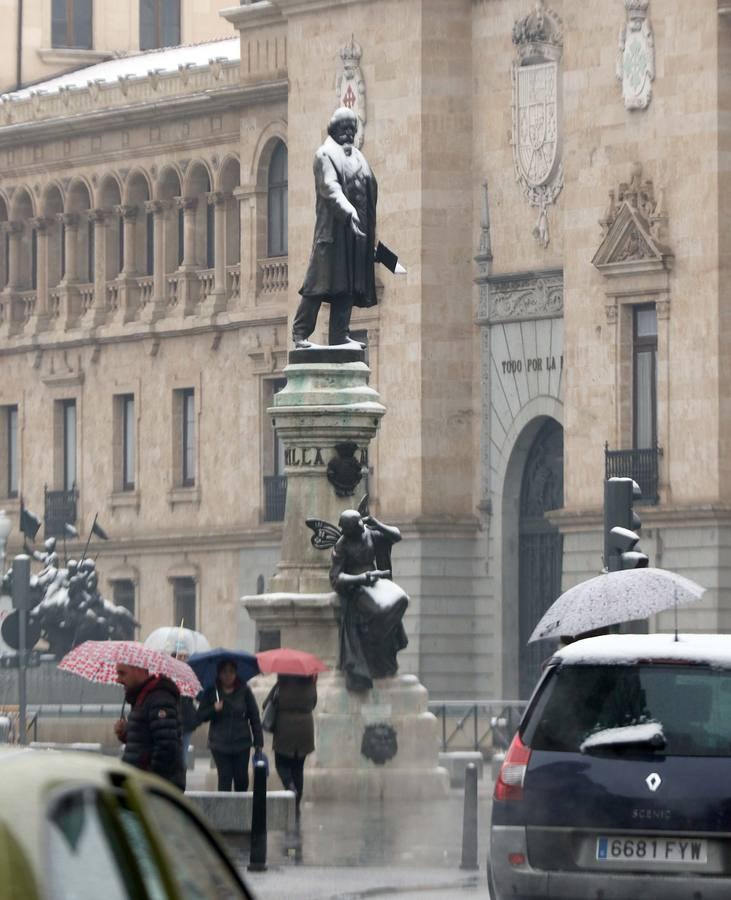 Fotos: Las bellas estampas que la nieve ha dejado en Valladolid