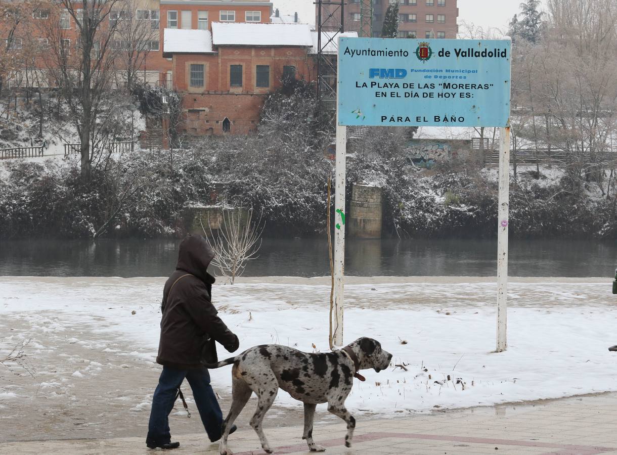 Fotos: Las bellas estampas que la nieve ha dejado en Valladolid