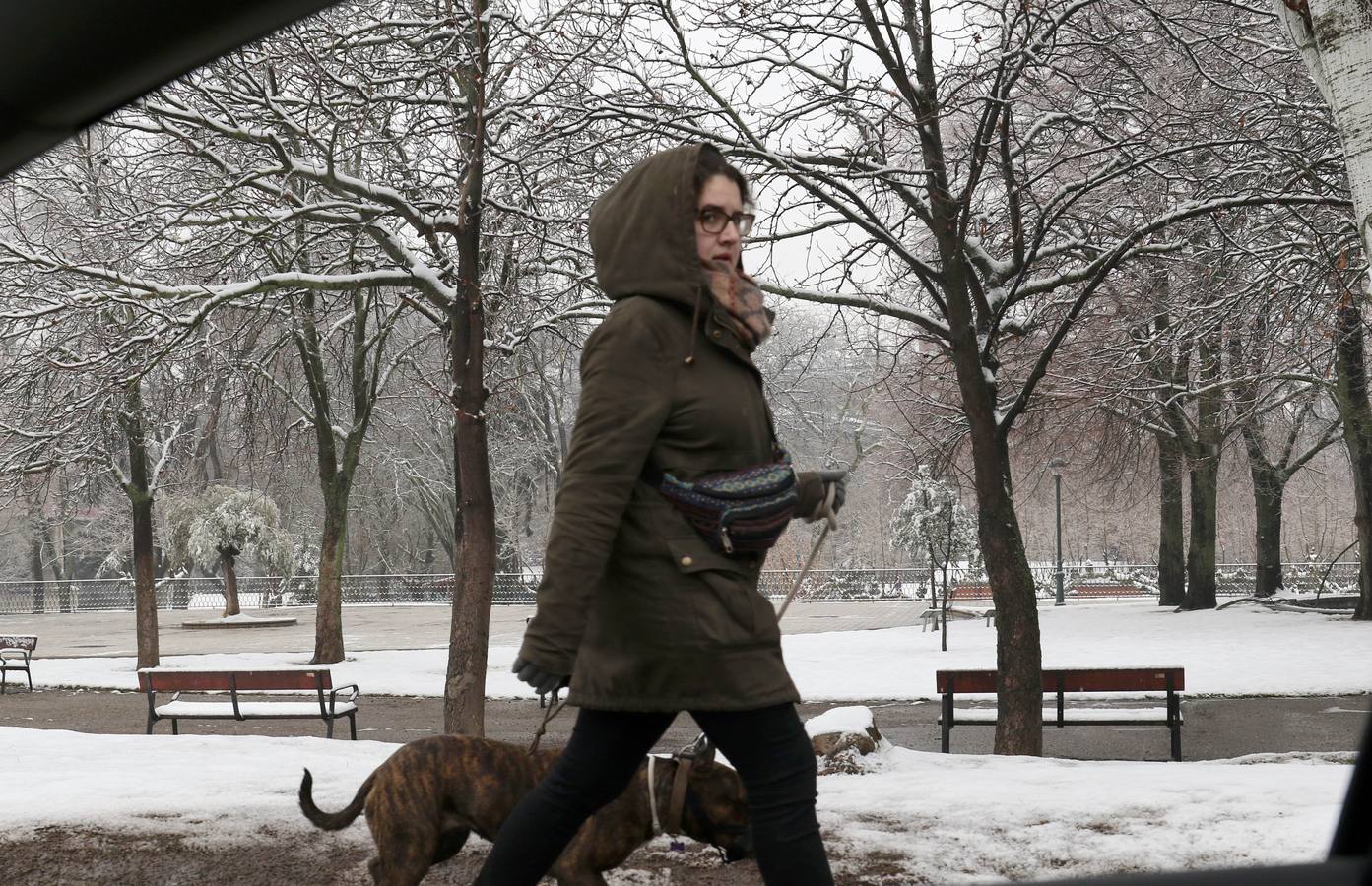 Fotos: Las bellas estampas que la nieve ha dejado en Valladolid