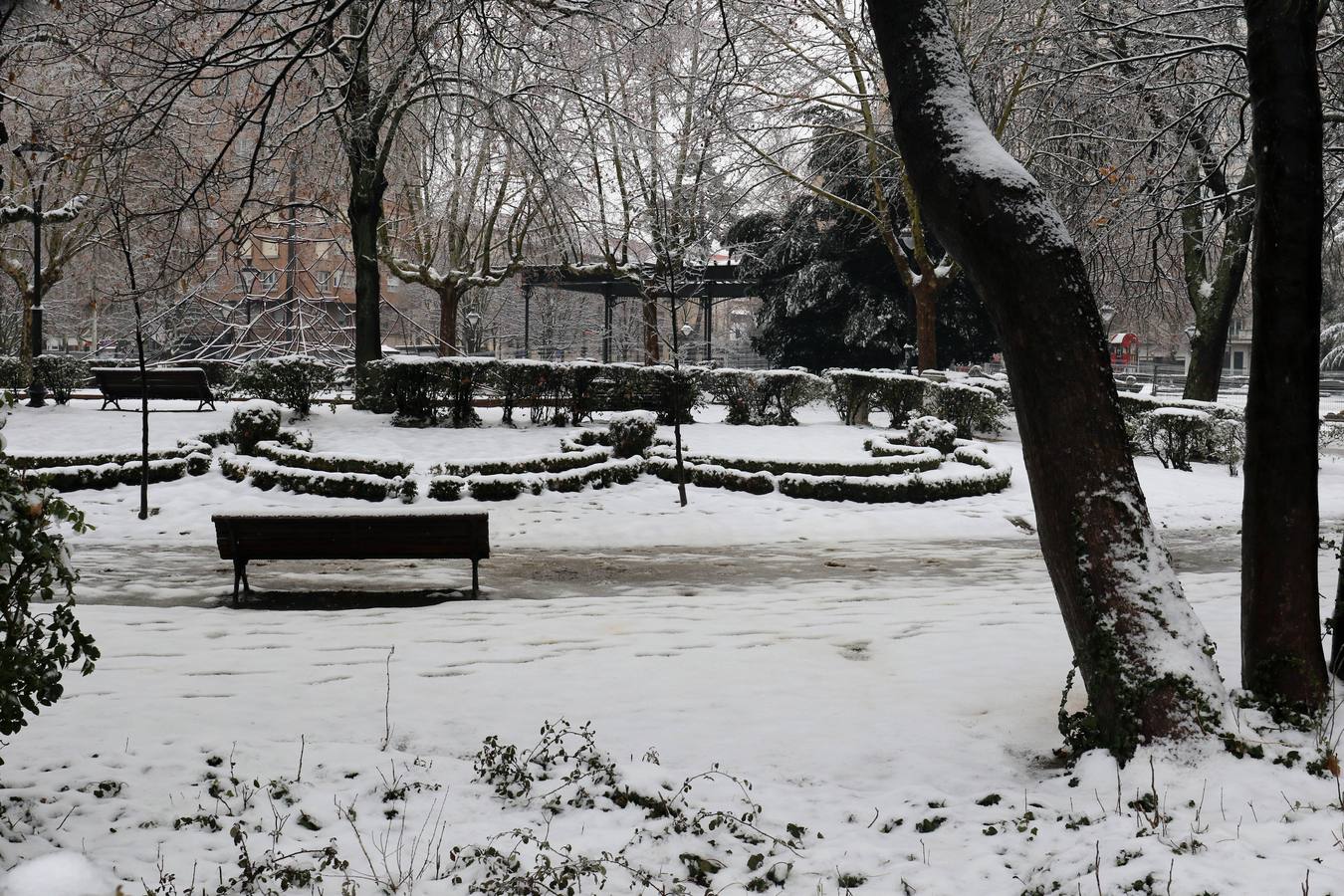 Fotos: Las bellas estampas que la nieve ha dejado en Valladolid