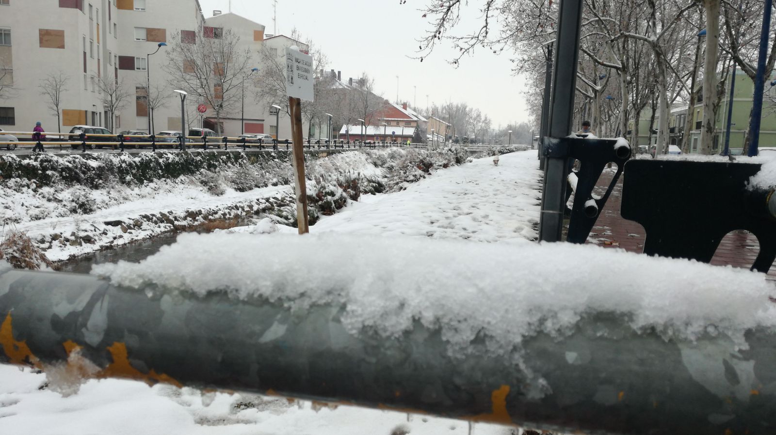 Fotos: Las bellas estampas que la nieve ha dejado en Valladolid