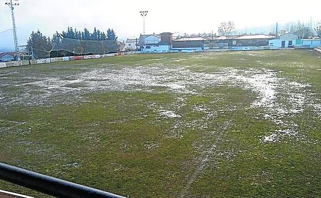 Estado que presentaba ayer el camnpo El Mancho de Cebreros. 