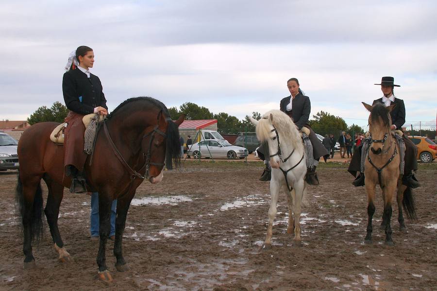 Fotos: Feria de El Ángel de Fuentepelayo, domingo