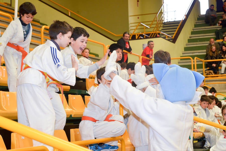 Fotos: Fiesta del judo en Salamanca